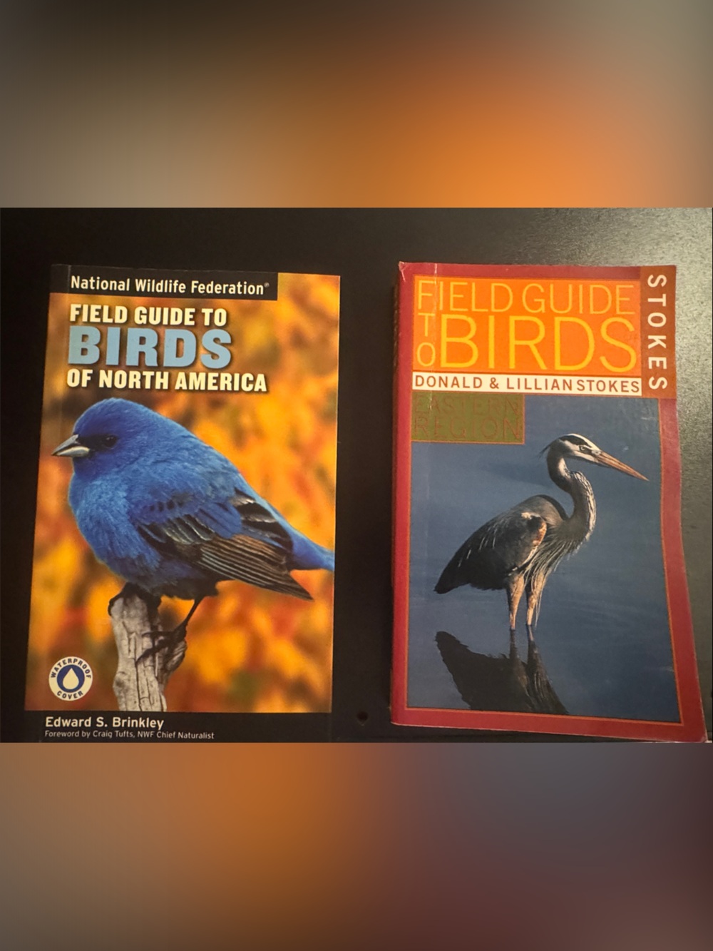 Blue Bird Field Guide to Birds of North America
